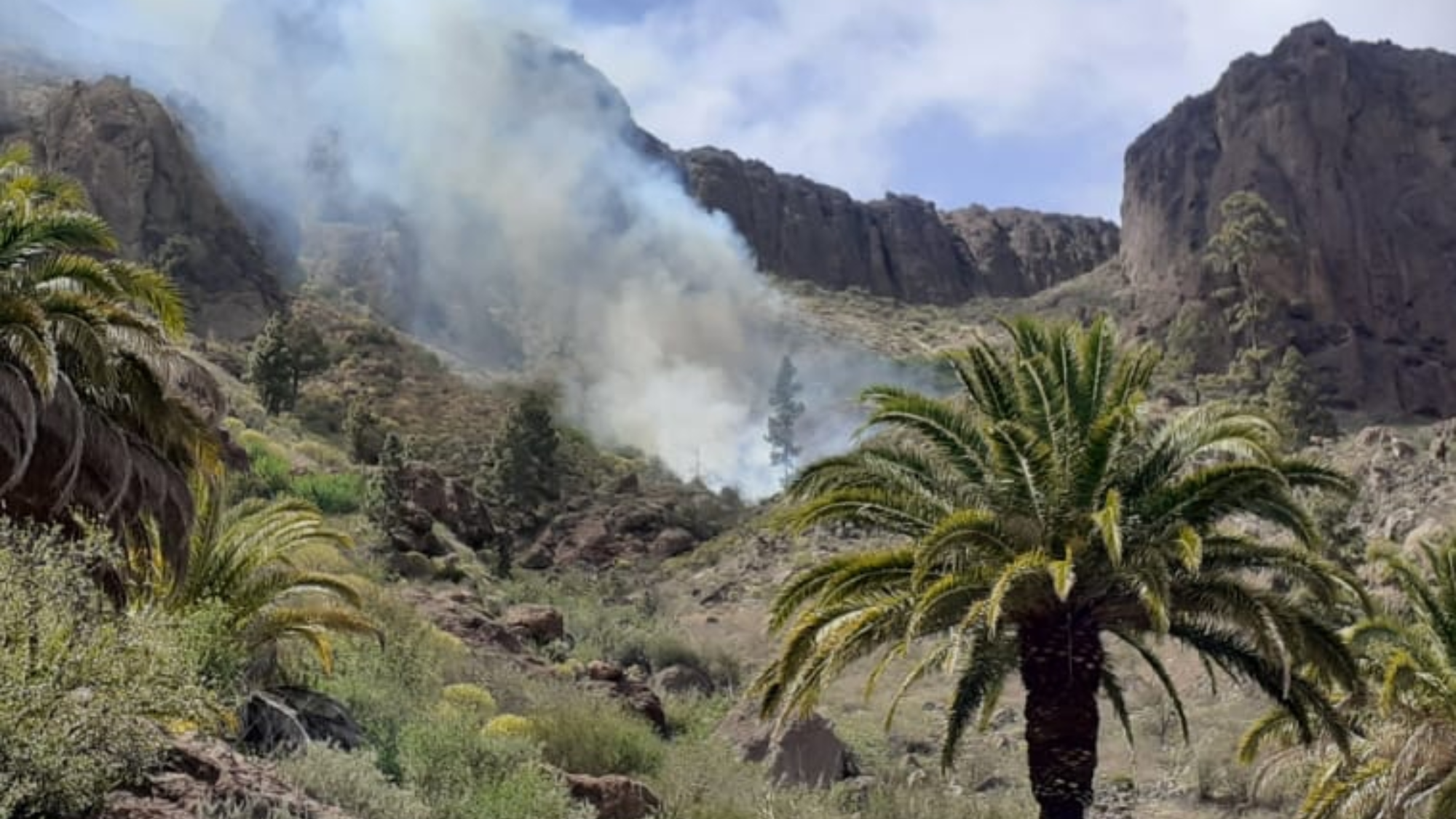 Incendio en la Presa de Soria / CABILDO DE GRAN CANARIA
