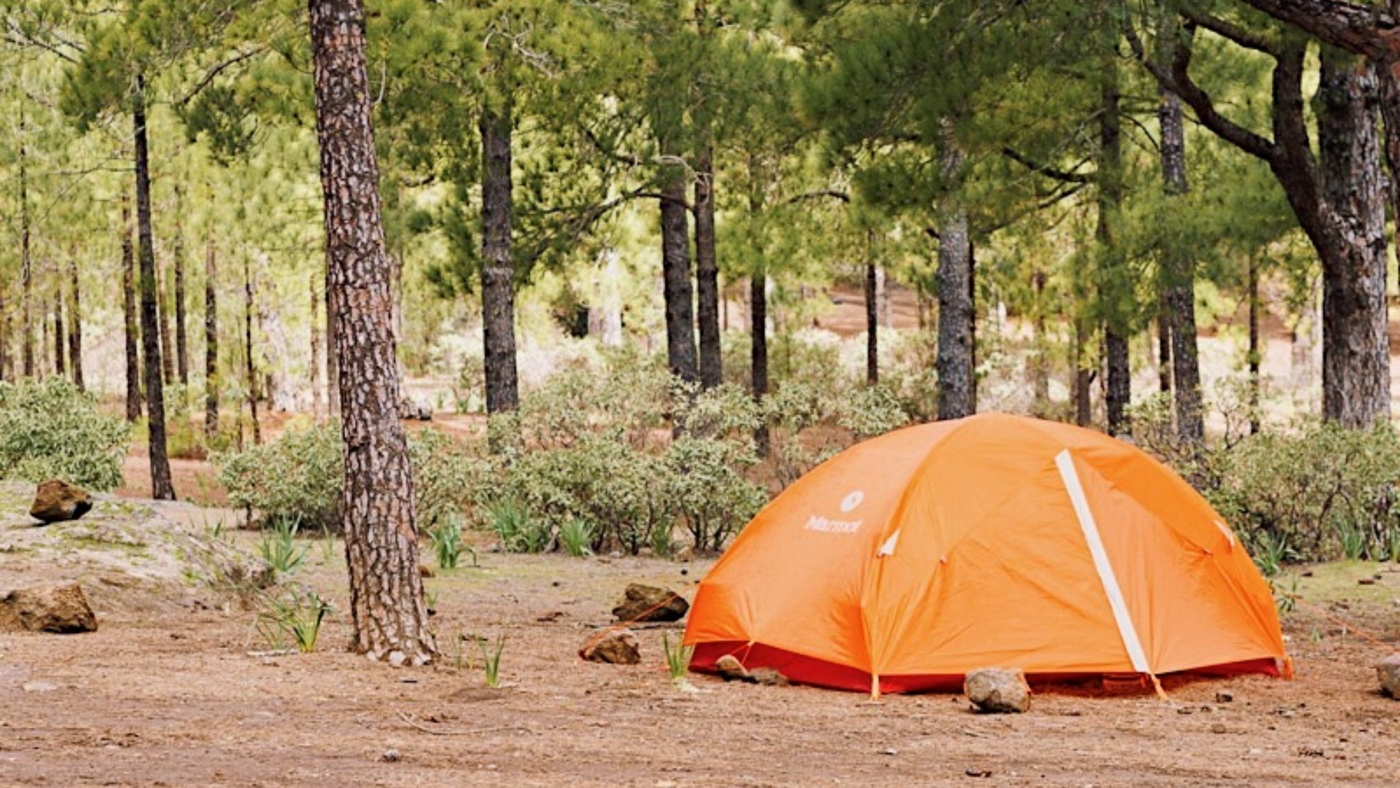 Imagen de una caseta de campaña en Llanos de la Mimbre / CABILDO DE GRAN CANARIA