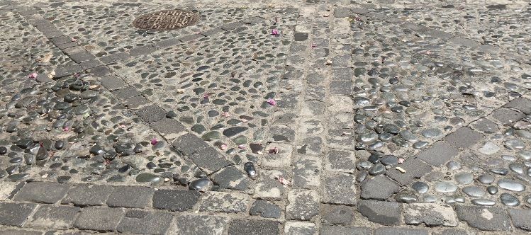 Flores de buganvillas delante de la Casa de Colón