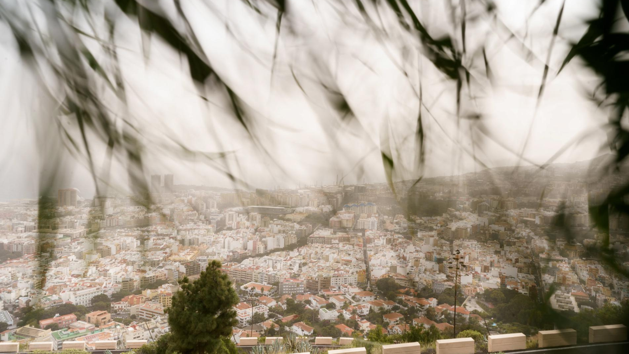 Calima y viento en Canarias / EFE - RAMÓN DE LA ROCHA