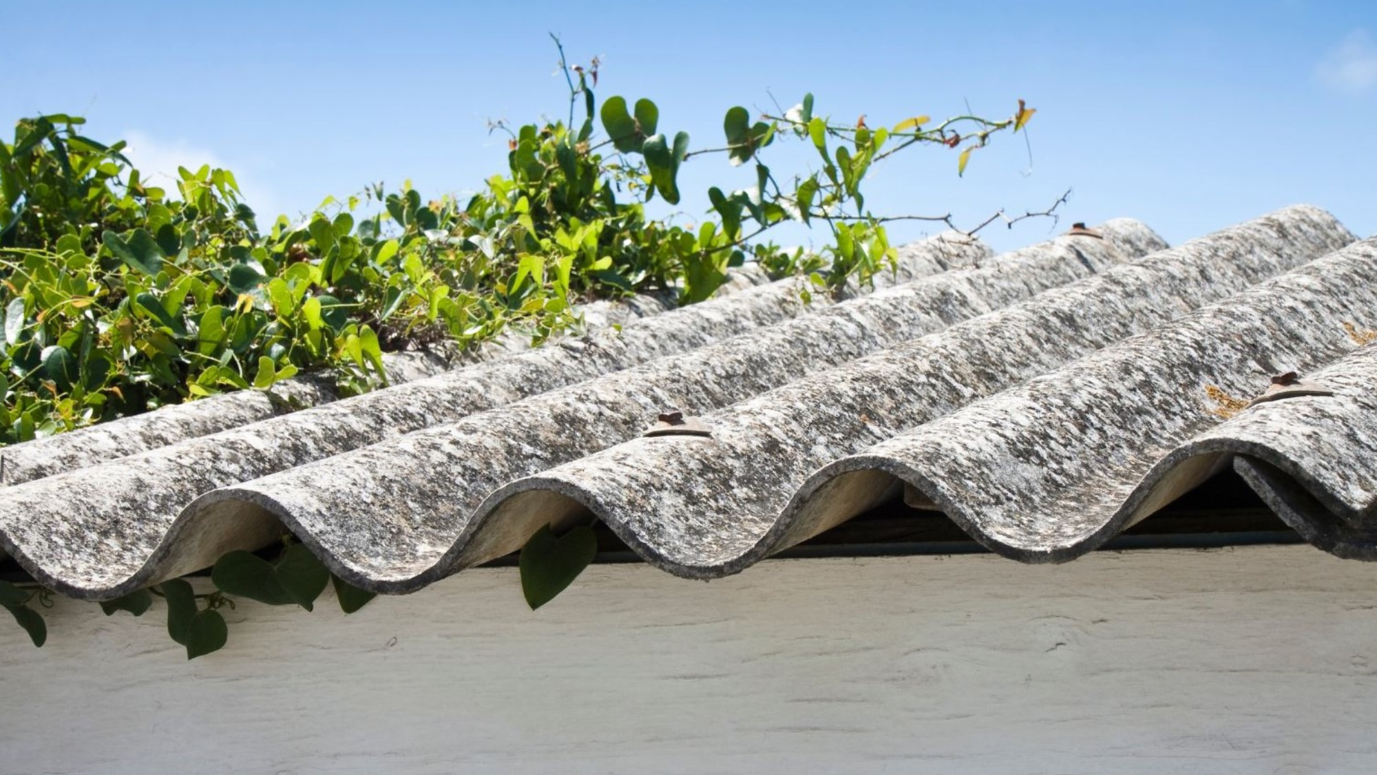 Placas de amianto en un tejado. / CABILDO DE TENERIFE