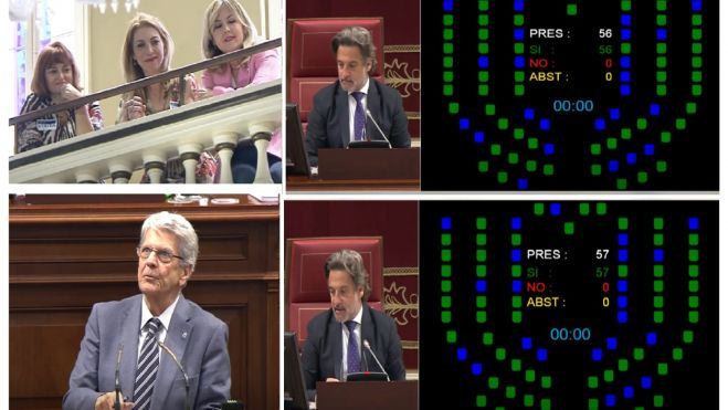 Momento de la aprobación por unanimidad en el Parlamento de Canarias de la creación de los colegios de Pedagogía y Psicopedagogía en Las Palmas y Santa Cruz de Tenerife / CEDIDA