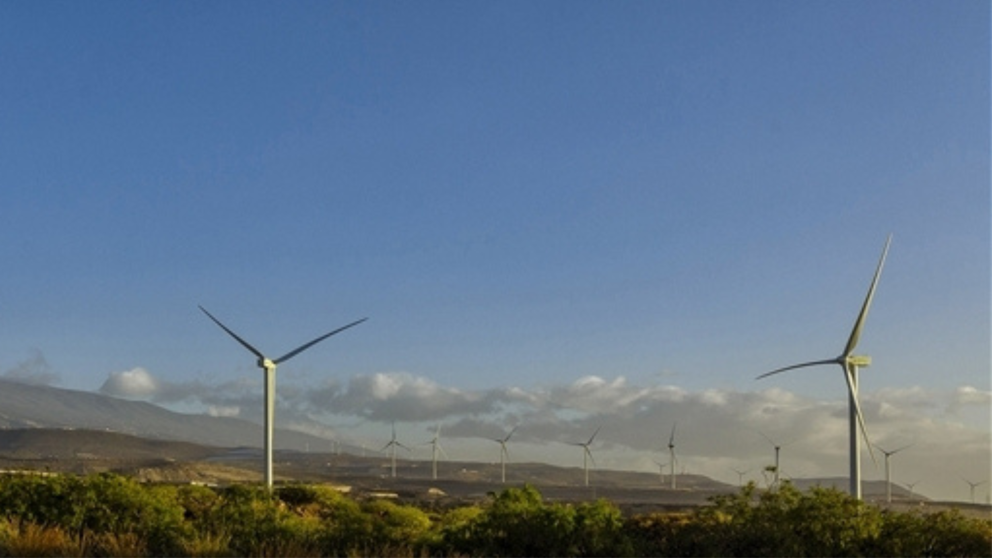 Parque eólico Chimiche II de Iberdrola. / IBERDROLA 