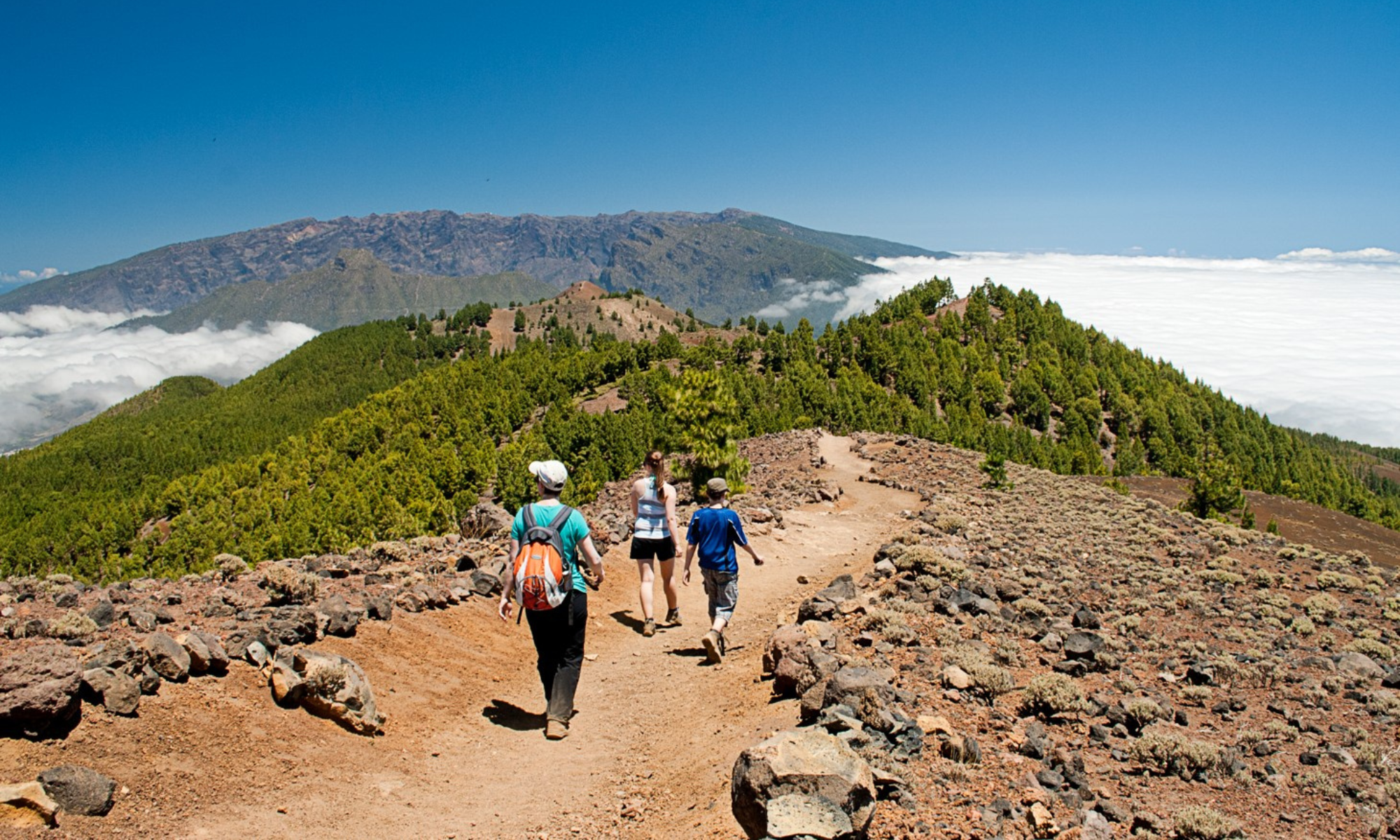 Sendero en La Palma. / CONSEJERÍA DE TURISMO