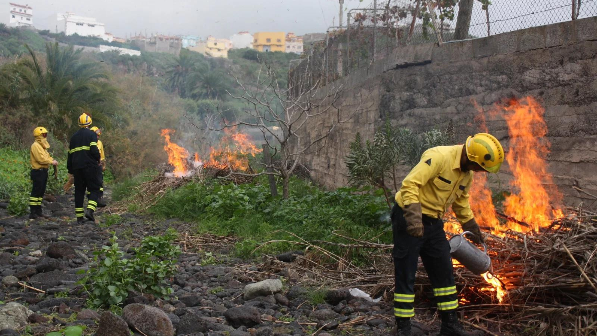 Para prevenir los incendios forestales, el Cabildo defiende una responsabilidad compartida también con la población / CABILDO DE GRAN CANARIA