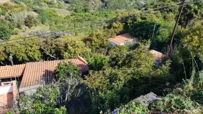 La prevención de grandes incendios forestales es una responsabilidad compartida / CABILDO DE GRAN CANARIA