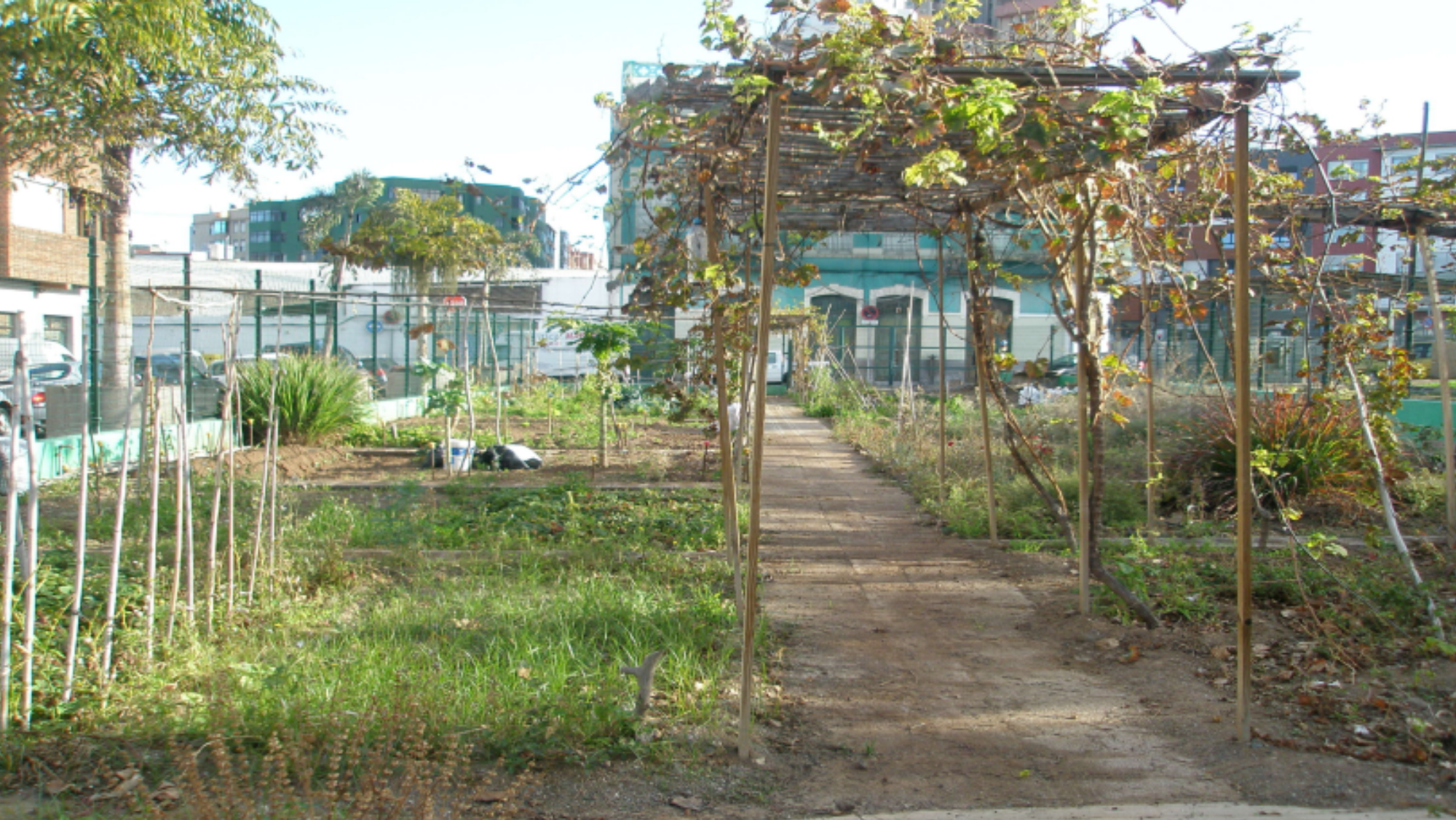Huerto de Luchana / AYUNTAMIENTO DE LAS PALMAS DE GRAN CANARIA