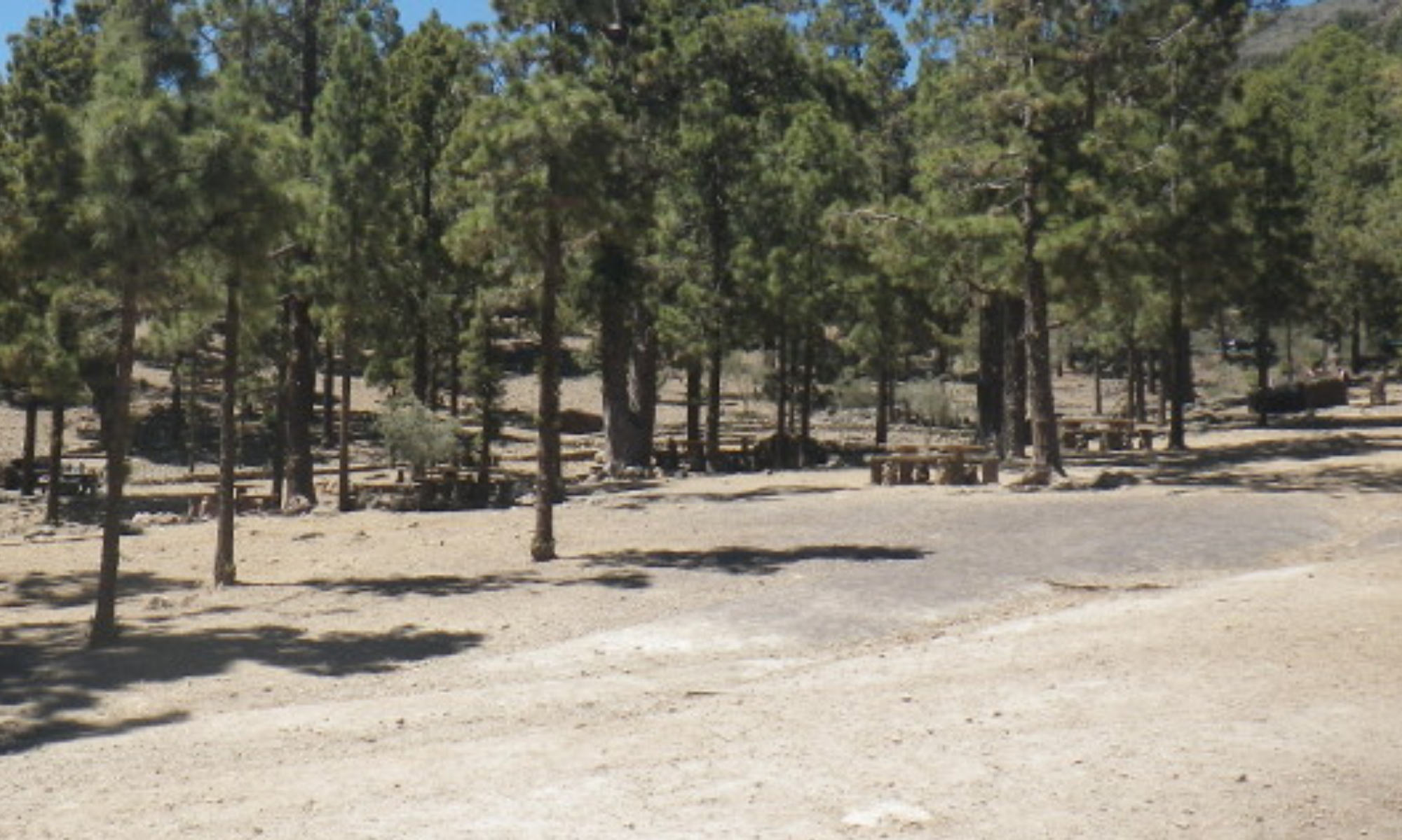 Zona recreativa Las Lajas, en Vilaflor, cerca de donde ha tenido lugar el accidente de quad. / CABILDO DE TENERIFE