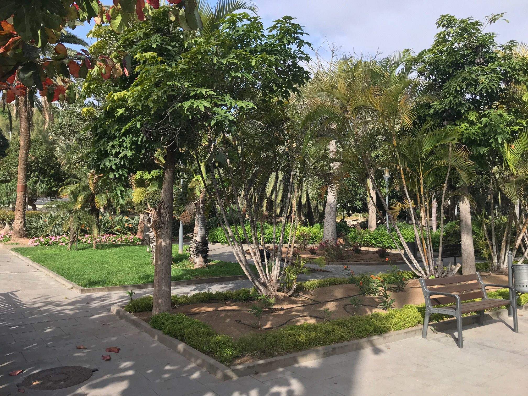 Imagen del parque Doramas en Las Palmas de Gran Canaria