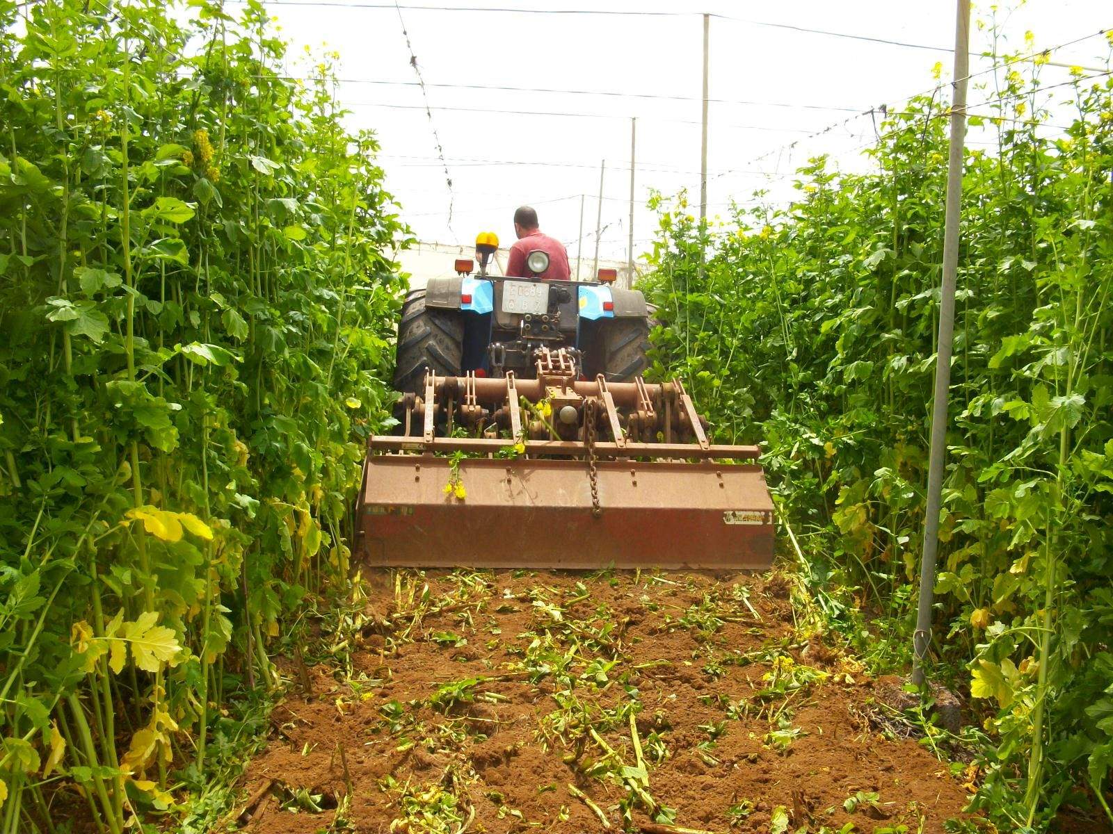 Exphttps://cs.atlanticohoy.com/es/articles/edit/1533814#lotación