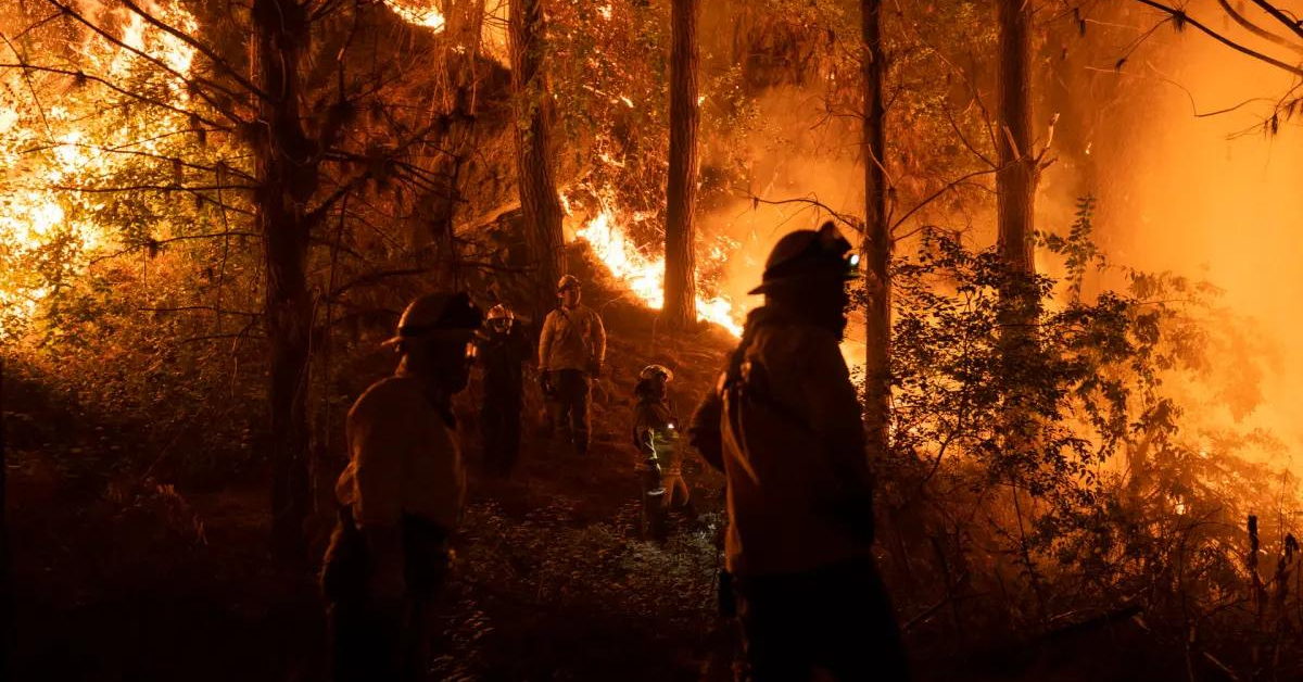 Incendio forestal por las altas temperaturas / EFE