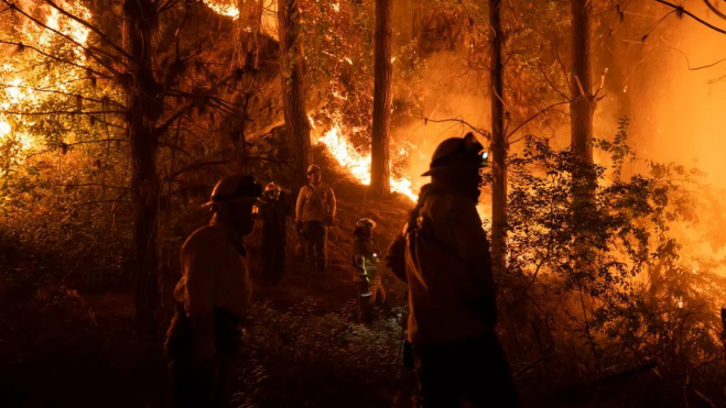 Incendio forestal por las altas temperaturas / EFE