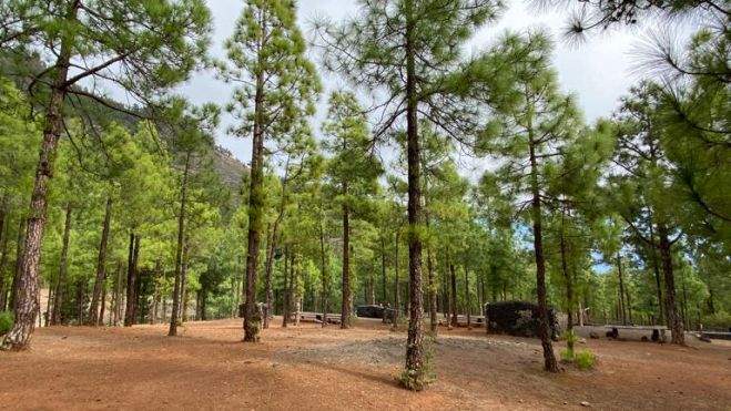 Los Brezos, Candelaria. / AH