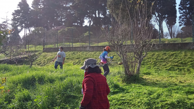 Alumnado del IES Vega de San Mateo realizando podas. / GOBIERNO DE CANARIAS Alumnado del IES Vega de San Mateo realizando podas. / GOBIERNO DE CANARIAS