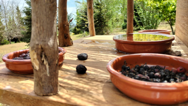 Imagen de la estación donde le ofrecen los frutos y agua a las avesFÉNIX CANARIAS
