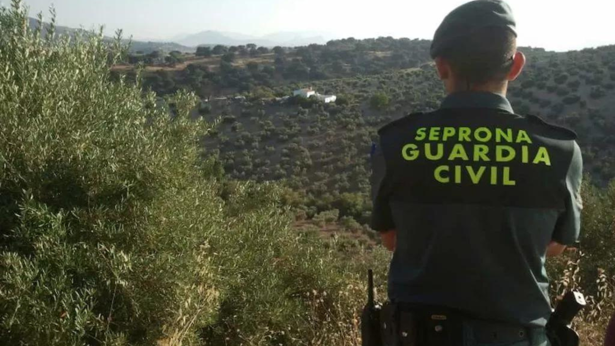 Guardia Civil del Seprona. / IMAGEN DE LA RED 