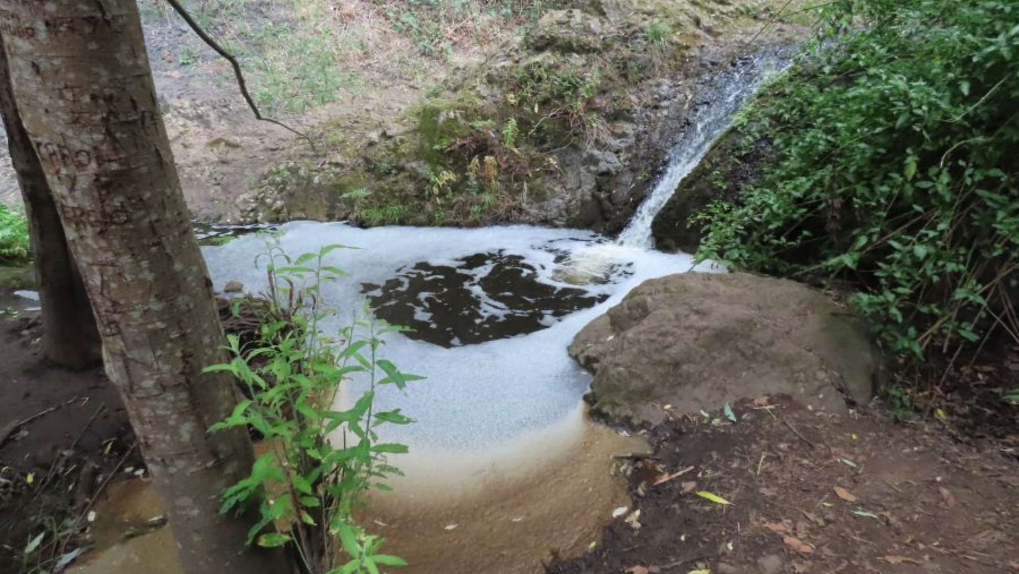 Vertido en el barranco de Azuaje / ECOLOGISTAS EN ACCIÓN LA VINCA