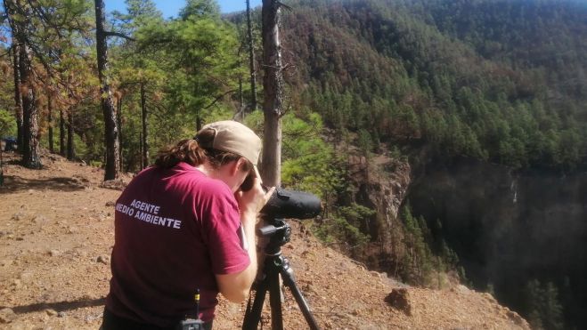 Agente de Medioambiente realizando tareas de vigilancia. / CEDIDA