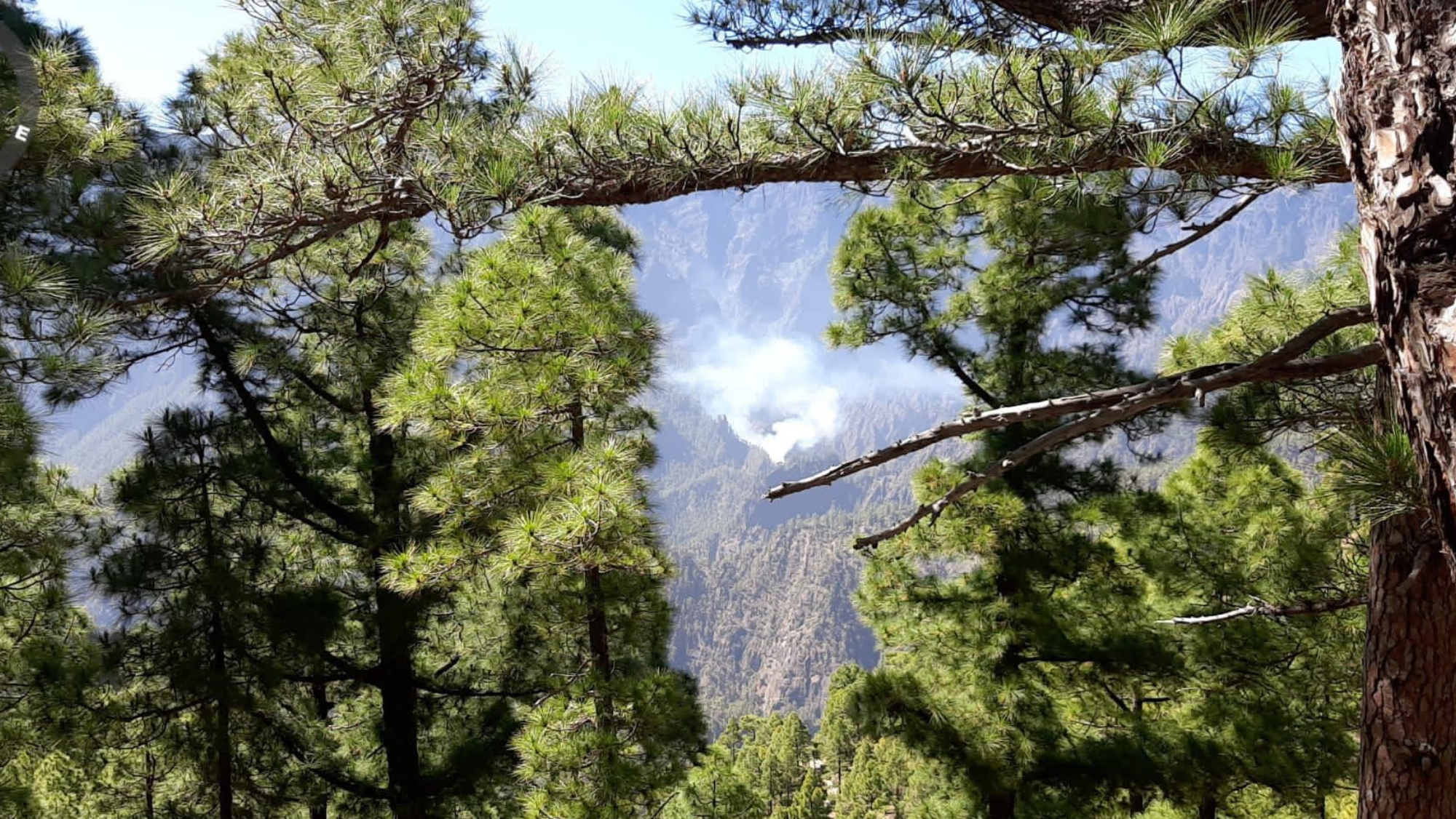 Imagen del incendio producido en la Caldera de Taburiente / CABILDO DE LA PALMA