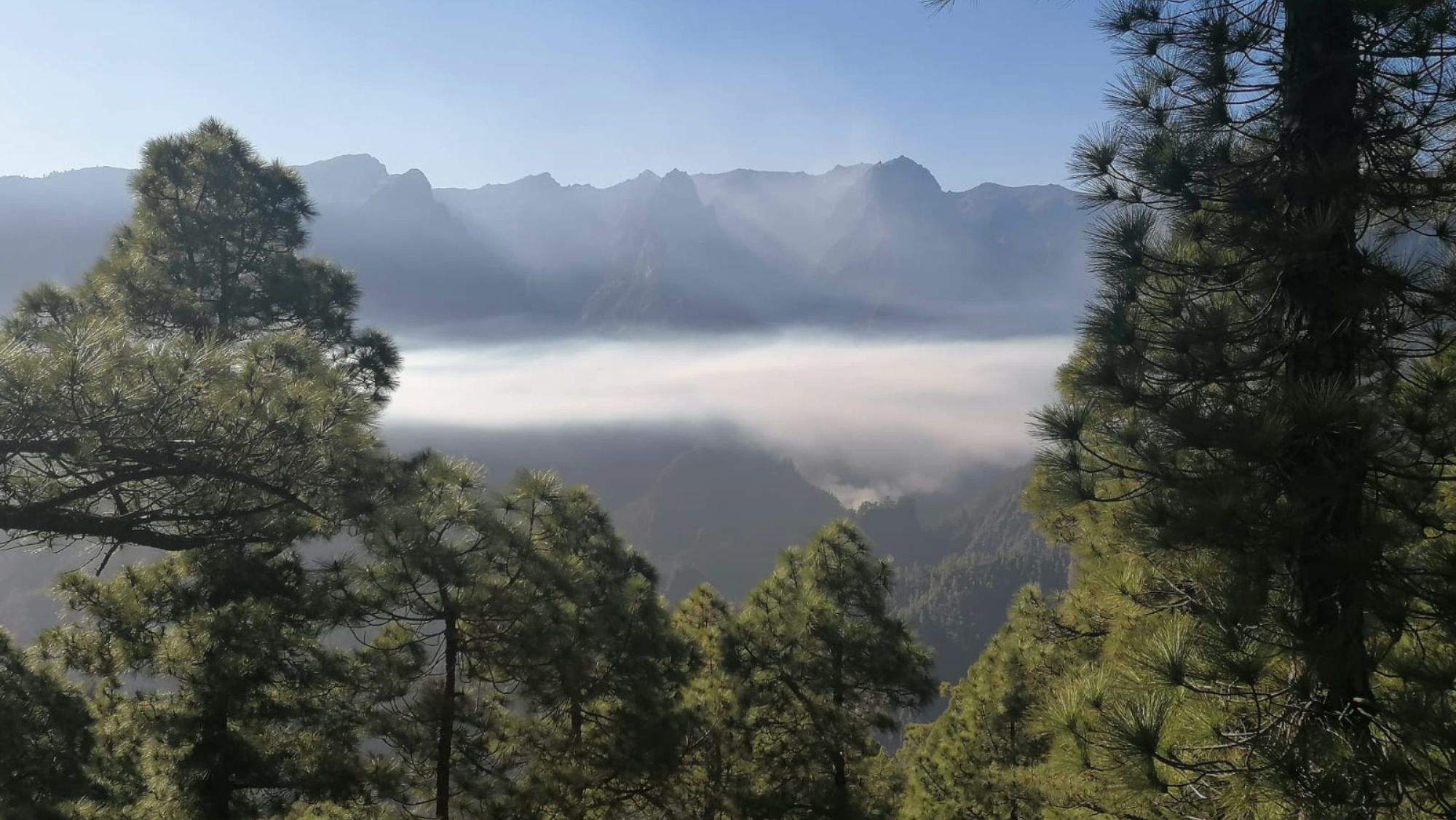 Imagen del incendio declarado en La Caldera de Taburiente. / 