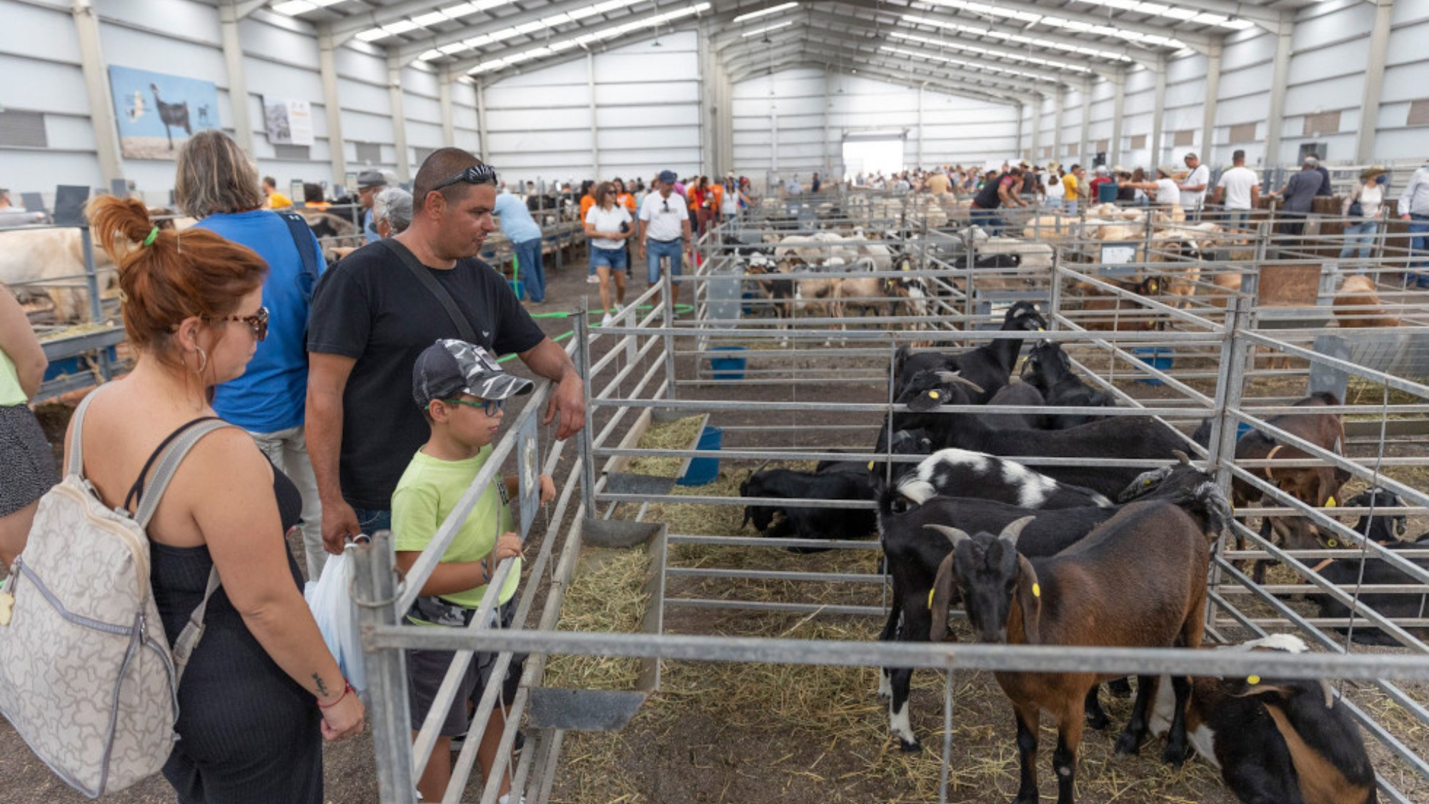 FEAGA 2023 / CABILDO DE FUERTEVENTURA