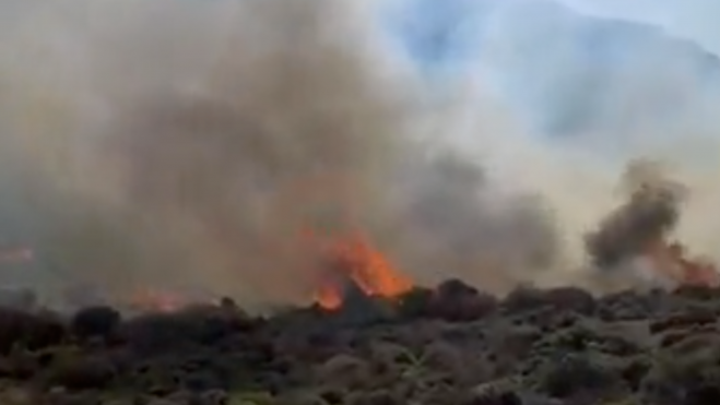 Conato de incendio en el Parque Nacional del Teide./ CEDIDA - TWITTER