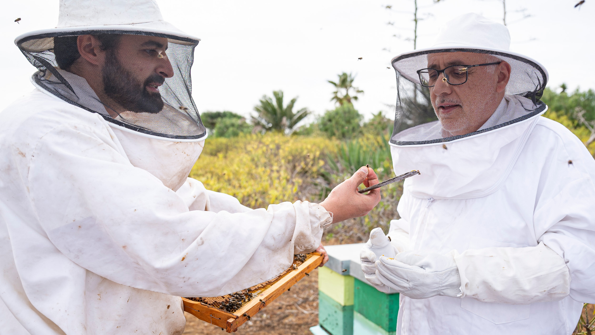 El presidente del Cabildo de Gran Canaria, Antonio Morales, en la Finca La Molina / NUEVA CANARIAS