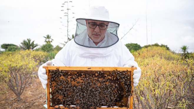 El presidente del Cabildo de Gran Canaria, Antonio Morales, con abejas en la Finca La Molina / NUEVA CANARIAS