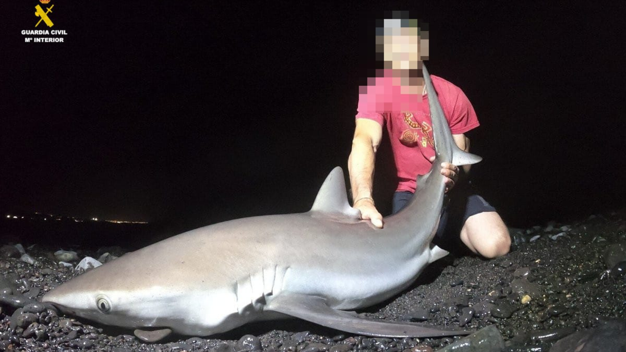 Imagen del detenido por pescar tiburones protegidos en Lanzarote / GUARDIA CIVIL