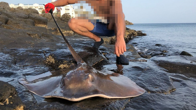 Imagen del detenido por pescar tiburones protegidos en Lanzarote / GUARDIA CIVIL