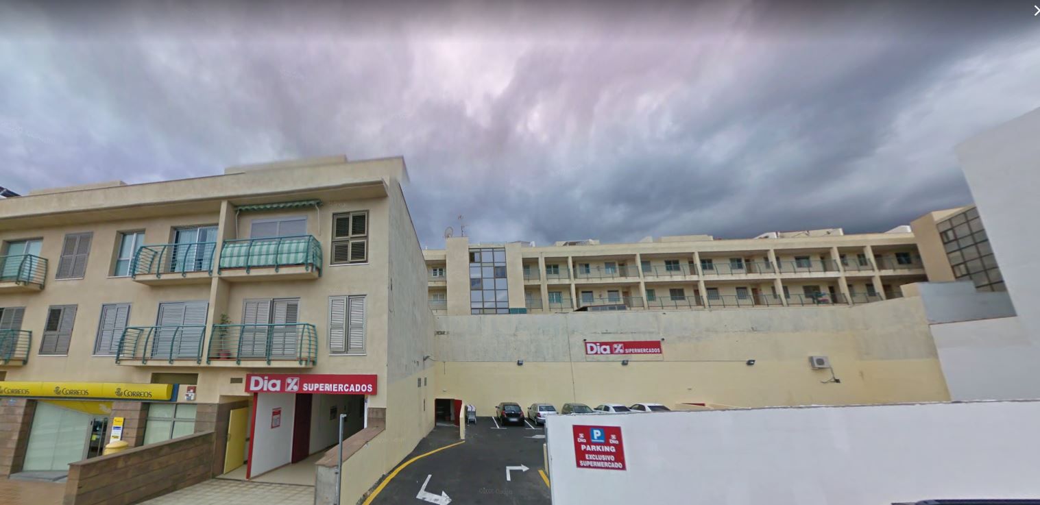 Sede de Zábila Aloe Vera / AH