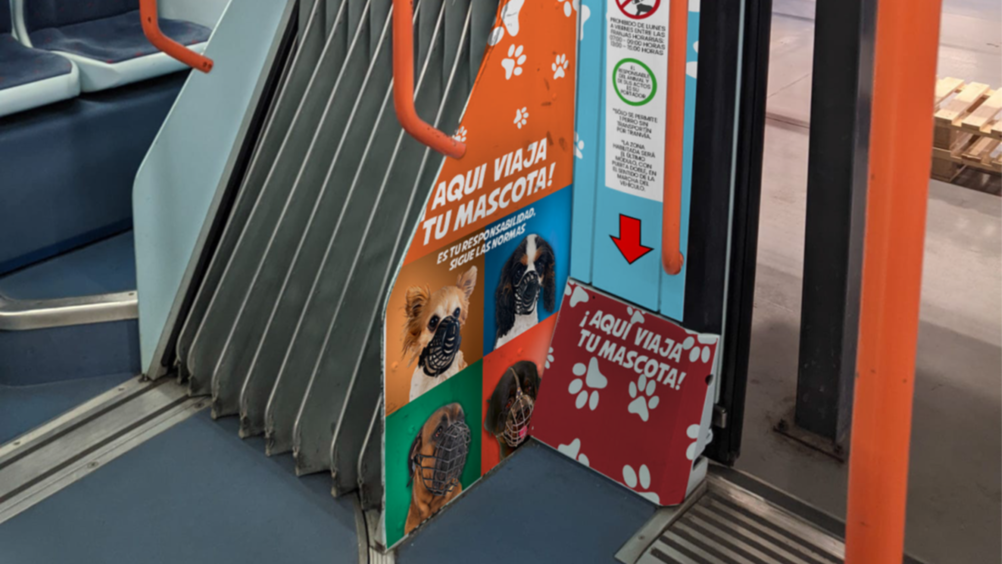 Zona donde irán ubicados los perros en el tranvía. / TRANVÍA DE TENERIFE