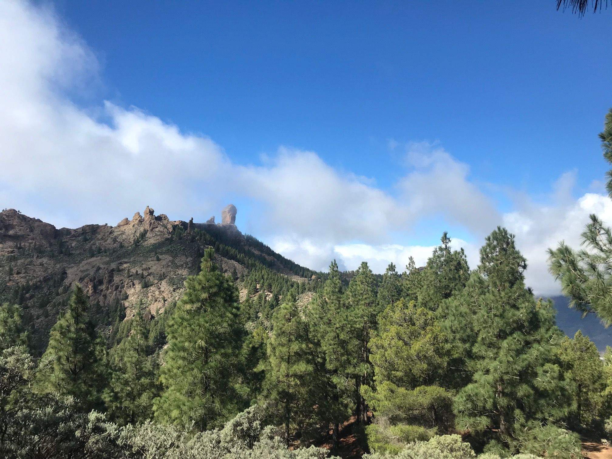 En lo más alto está el Roque Nublo, siempre, para que no nos confundamos nunca de camino. Las otras sombras y los otros nublos.