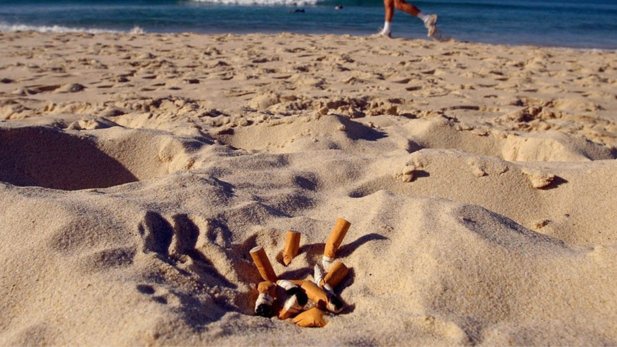 Colillas en la playa / EFE Colillas en la playa / EFE