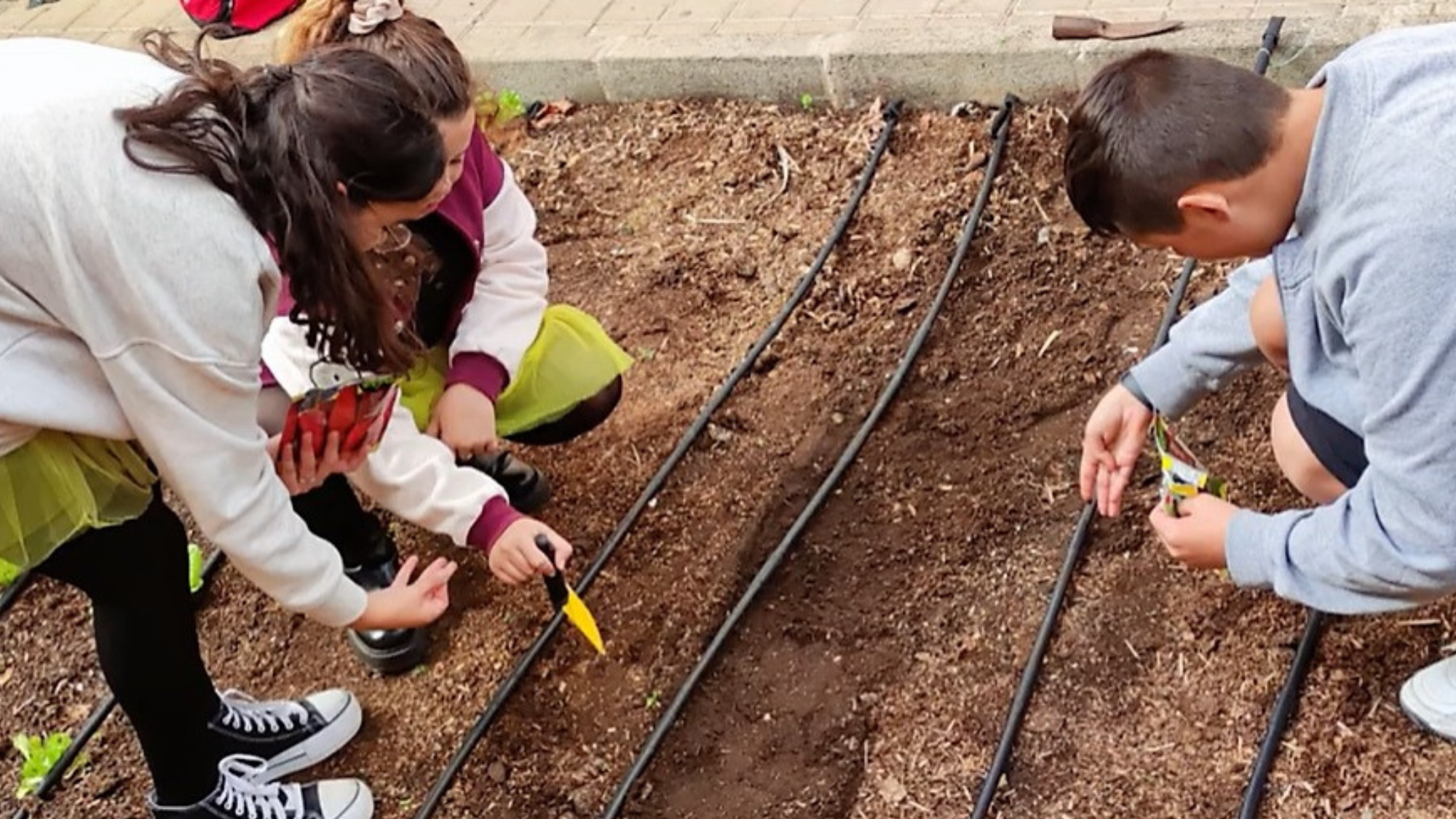 Huerto ecológico en un centro educativo / GOBIERNO DE CANARIAS