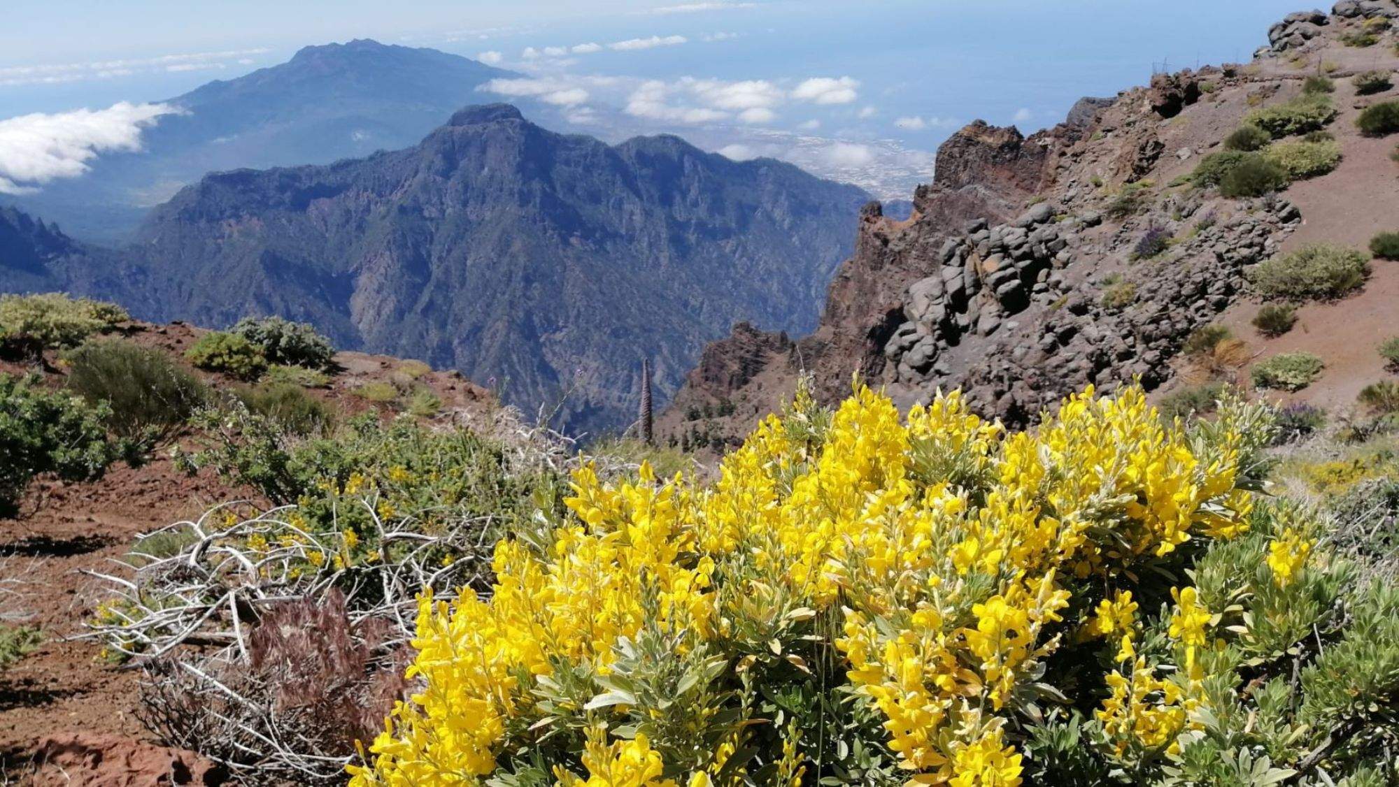 Cumbres de La Palma / CEDIDA