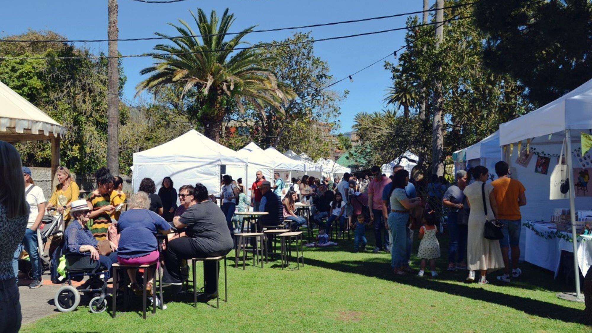 Canary Market Place / CEDIDA