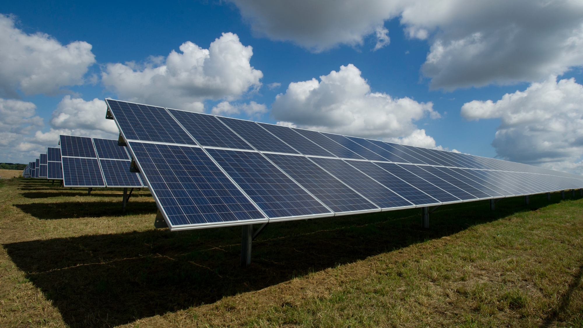 Placas fotovoltaicas en un parque solar. / UNSPLASH Placas fotovoltaicas en un parque solar. / UNSPLASH
