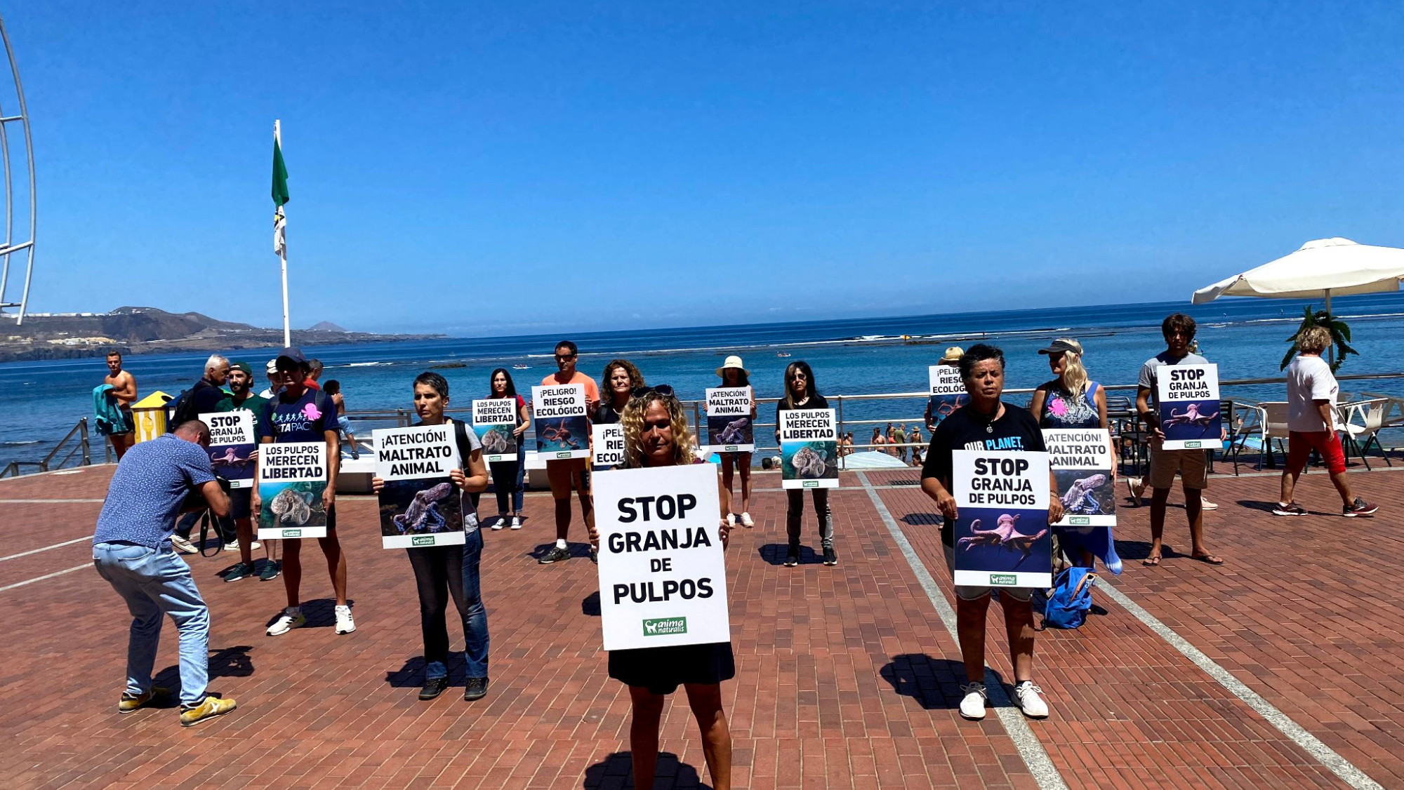 Protesta en Las Canteras contra la granja de pulpos / ANIMANATURALIS