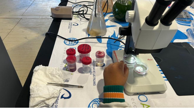 Alumnos aprendiendo en FIMAR / LUNA MOYA - ATLÁNTICO HOY