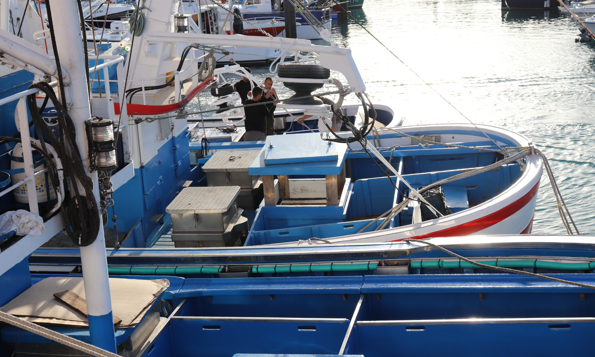 Barco pesquero en la cofradía de pescadores de Los Cristianos, de Tenerife. / GOBIERNO DE CANARIAS