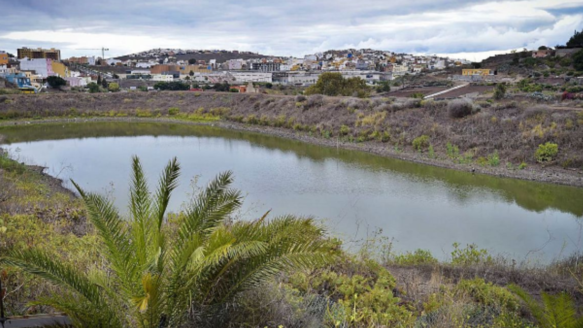 Charcas de San Lorenzo 