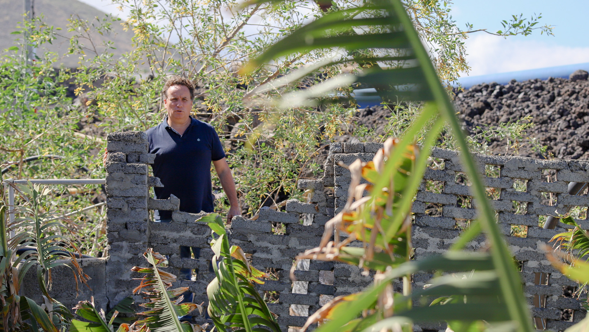 Gregorio Hernández,  propietario de una finca de plántanos en La Palma / EFE - LUIS G. MORERA