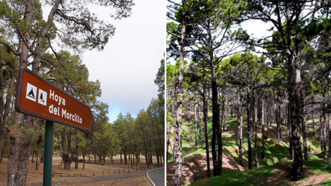 Área de campamento en El Hierro, Hoya del Morcillo / CABILDO DE EL HIERRO Área de campamento en El Hierro, Hoya del Morcillo / CABILDO DE EL HIERRO