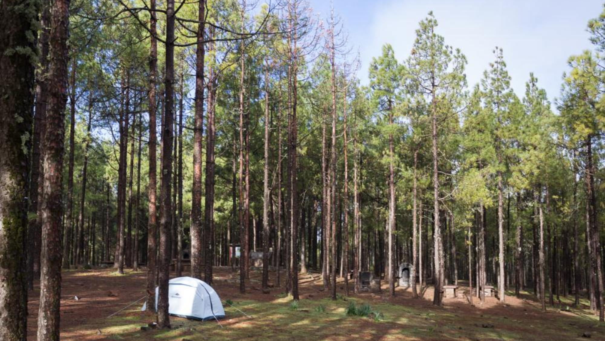 Zona de acampada Llanos de la Pez, en Gran Canaria / CABILDO DE GRAN CANARIA
