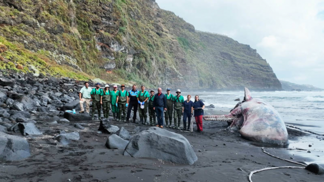 Equipo de investigadores de la ULPGC junto a la ballena varada en La Palma / ULPGC 