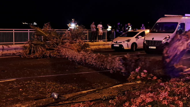 Un vehículo dio varias vueltas de campana y terminó empotrado contra una palmera / CEDIDA
