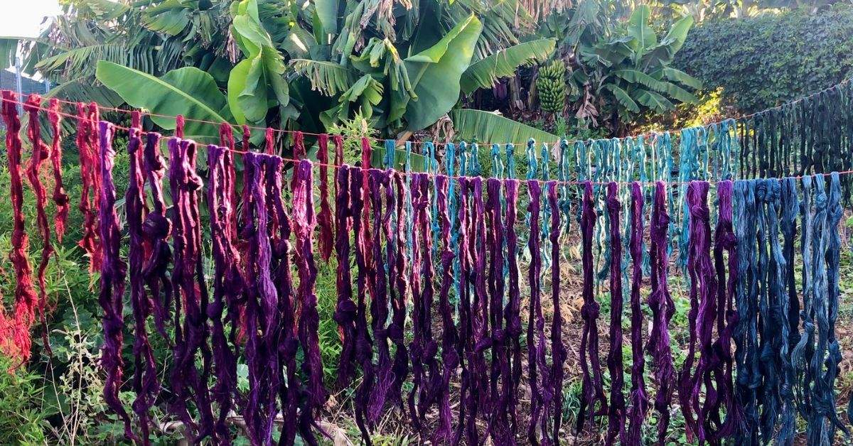 Fibras de tallo de platanera secando tras aplicarles el tinte elaborado con cochinilla./ CEDIDA.