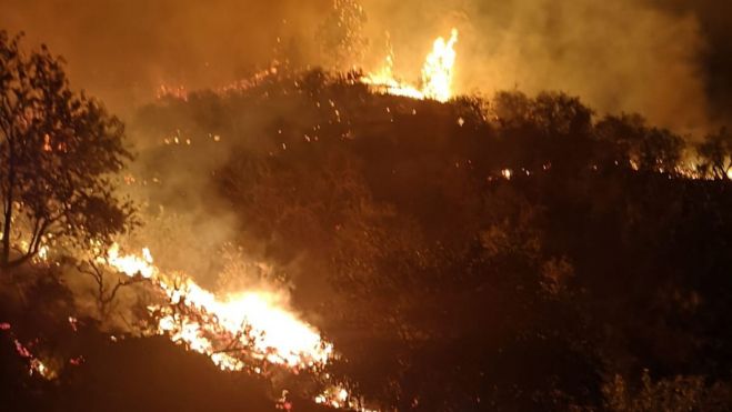 Incendio en Puntagorda, La Palma / BRIF