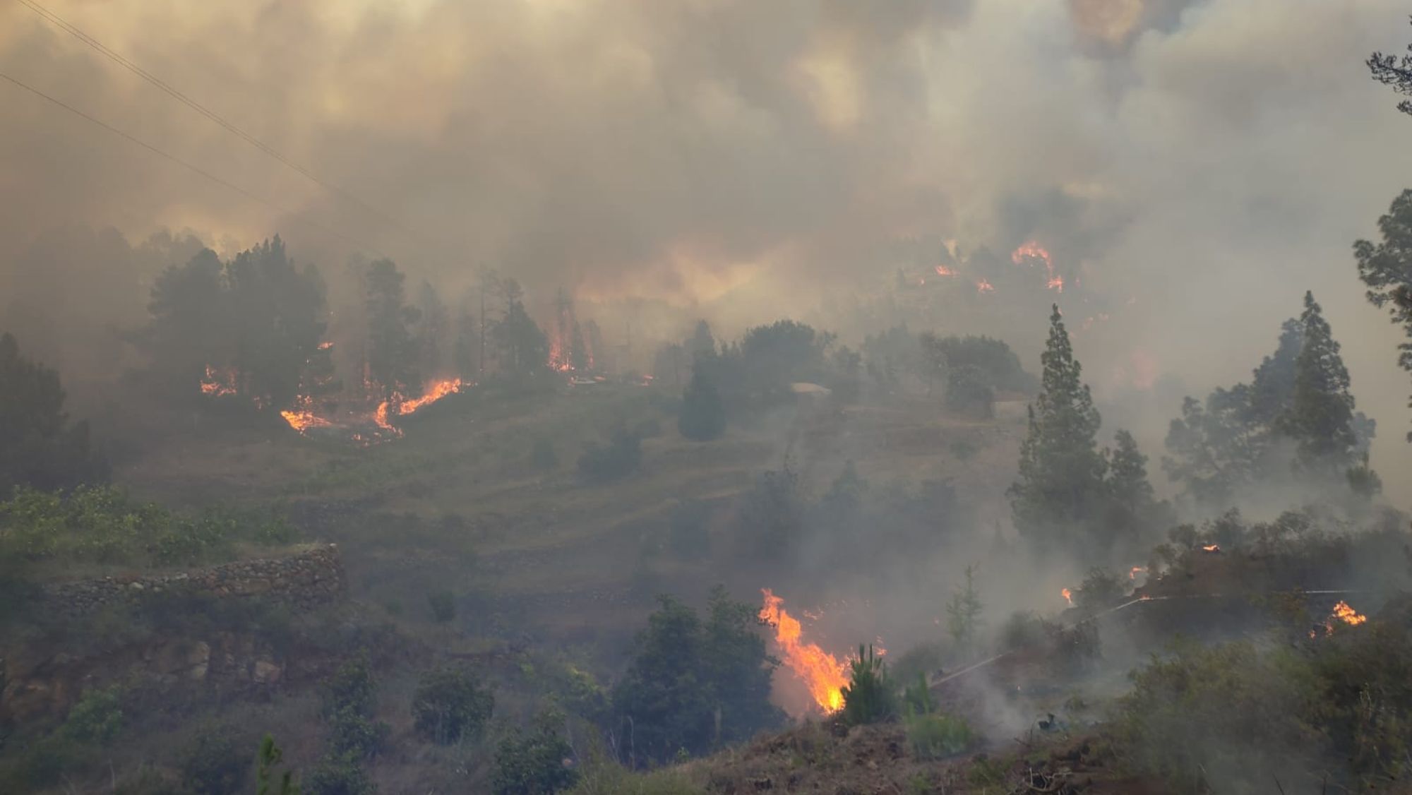 Incendio en Puntagorda / BRIF Incendio en Puntagorda / BRIF
